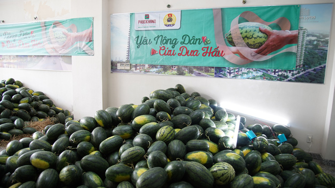 Hội doanh nhân trẻ "giải cứu" hơn 2.000 tấn dưa hấu, thanh long