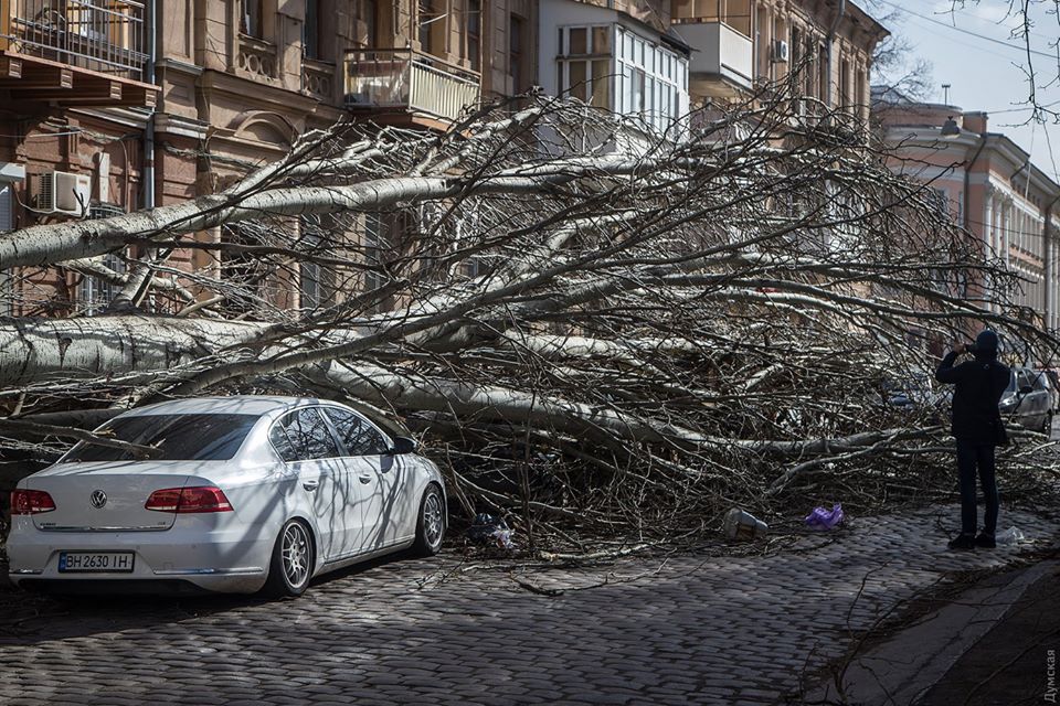 Odessa: Bão "Yulia" gây đổ hơn 400 cây, phá hoại cơ sở hạ tầng, phong toả giao thông