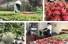 Thúc đẩy sản xuất nông nghiệp trong bối cảnh dịch bệnh Covid-19
