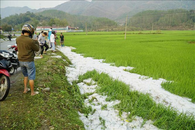 Mưa đá mật độ dày đặc tại Điện Biên