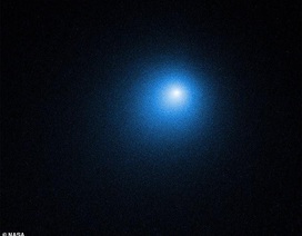 Atlas- sao chổi mới được phát hiện có thể tỏa sáng rực rỡ như mặt trăng