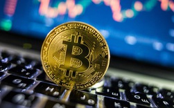 Bitcoin bất ngờ tăng dựng đứng hơn 11%