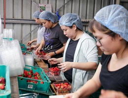 Chính phủ Australia mong muốn sinh viên nước ngoài ở lại nếu tự trang trải được