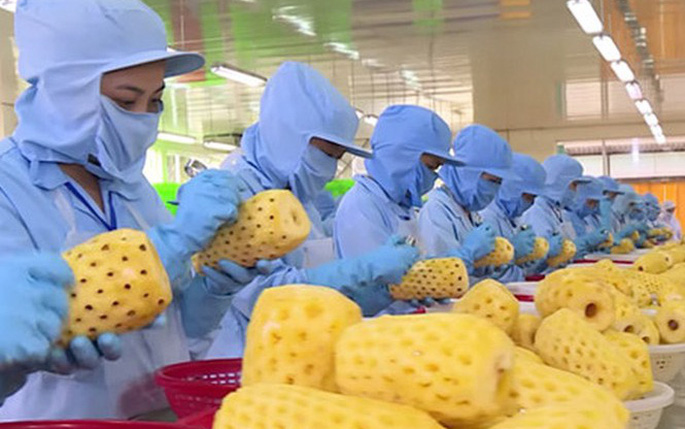 Nông sản, thực phẩm tìm hướng tiêu thụ online sang Trung Quốc giữa mùa dịch COVID-19
