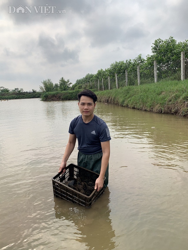 Chàng trai Ninh Bình làm giàu từ mô hình nuôi trai nước ngọt lấy ngọc
