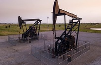 Giá dầu thế giới tăng trở lại