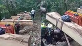 Thủ tướng yêu cầu xử lý nghiêm hoạt động phá rừng tại Kon Tum
