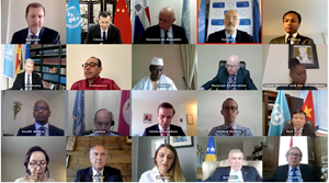 HĐBA LHQ thảo luận trực tuyến về tình hình Bosnia&Herzegovina