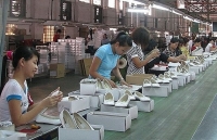 60 doanh nghiệp giày dép Mỹ lần đầu giao thương trực truyến với doanh nghiệp Việt