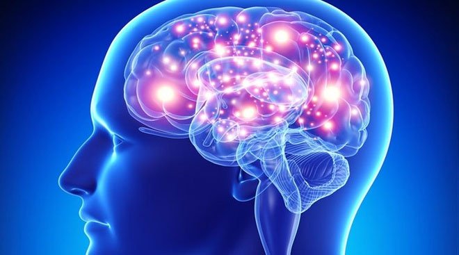 Tìm ra vị trí stress "trú ẩn" trong bộ não
