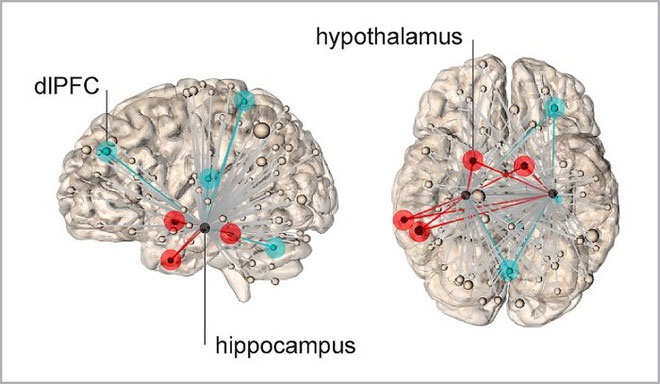 Tìm ra vị trí stress "trú ẩn" trong bộ não