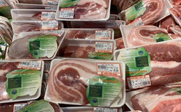 Giá thịt lợn hơi 'hạ nhiệt' vì thông tin cho nhập thịt lợn sống nguyên con