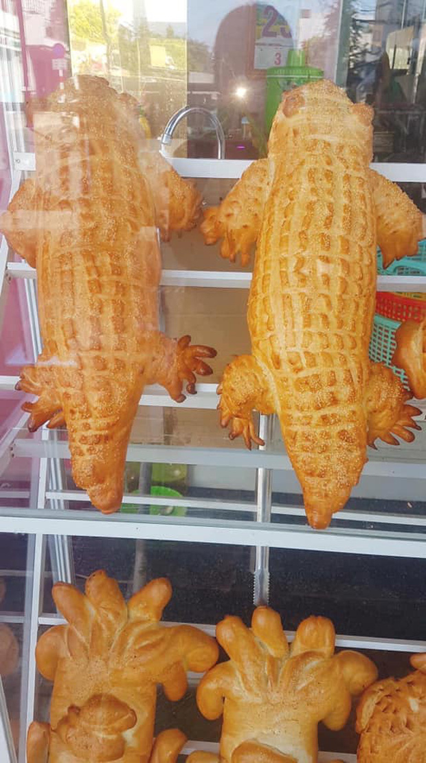Bánh mì cá sấu khổng lồ gây "bão" mạng