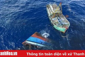 Indonesia thay đổi chính sách xử lý với tàu cá nước ngoài bị bắt giữ