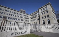 Cuộc đua vị trí Tổng giám đốc WTO chính thức bắt đầu
