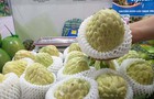 Việt Nam – New Zealand thông quan nông sản qua chứng nhận điện tử