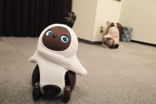 Lovot - Robot có cảm xúc, thay thế thú cưng trong nhà