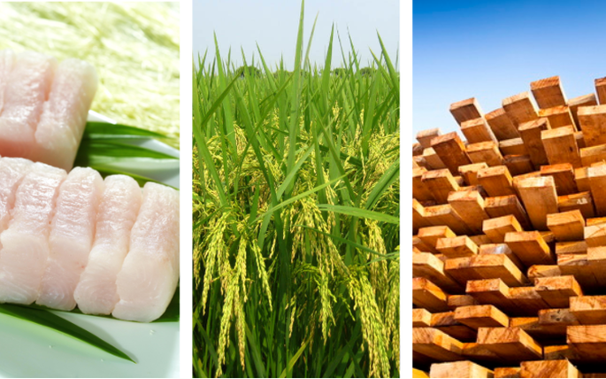 Nhiều ngành hàng xuất khẩu chủ lực của Việt Nam bắt đầu hưởng lợi từ EVFTA