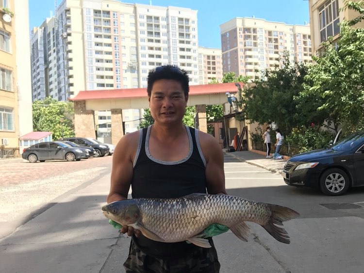 Một người Việt sống taị Làng Sen câu được mẻ cá lớn