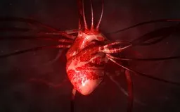 Nghiên cứu của Mỹ: Virus SARS-CoV-2 có thể xâm nhập vào tim?