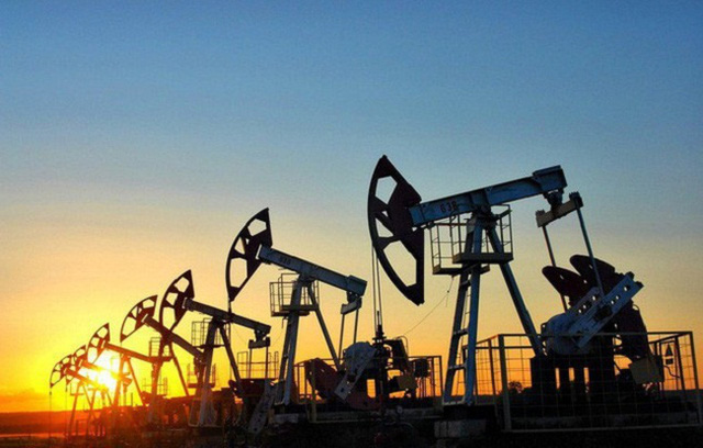 Nhu cầu dầu mỏ toàn cầu sẽ giảm 8,1 triệu thùng/ngày trong năm 2020