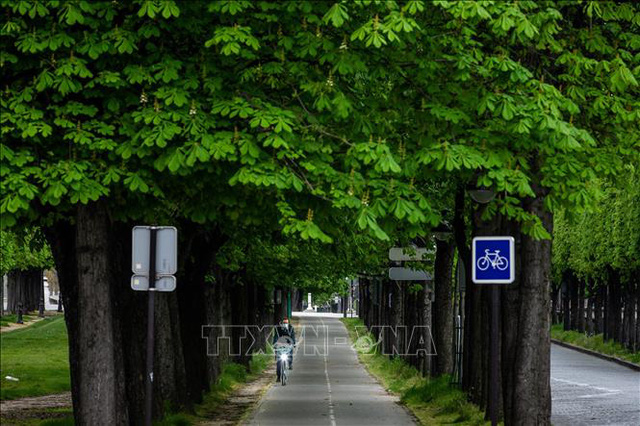 Nhanh, tiện lợi, trào lưu đi xe đạp "nở rộ" tại Paris
