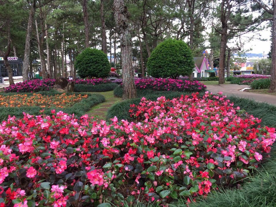 Thăm Đà Lạt – Thành phố ngàn hoa